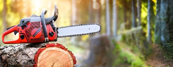 Entreprise d'élagage et d'abattage Nancy